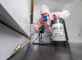 Best Fumigation Services  in Ironde, AL